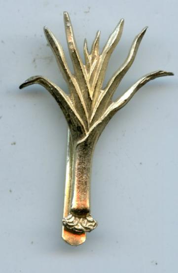 The Welsh  Guards  Anodised Cap Badge