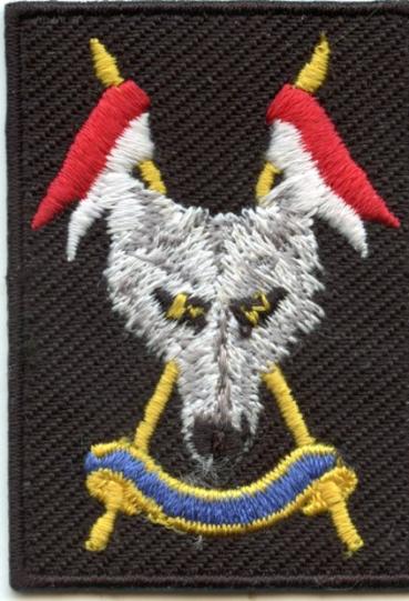 The Scottish and North Irish Yeomanry (SNIY) 1st Type Other Ranks Blank scroll Cloth Beret Badge