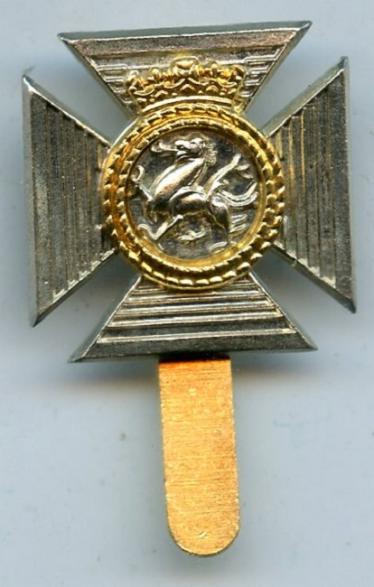The Duke of Edinburgh's Royal Regiment Berkshire & Wiltshire Cap Badge