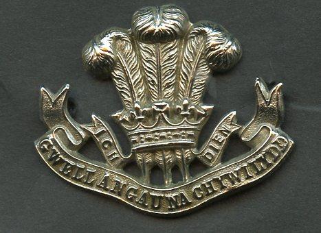 The Welsh Regiment Collar Badge