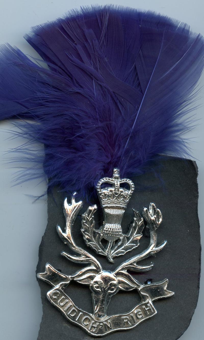 The Queens Own Highlanders  Anodised Cap Badge With Blue Hackle