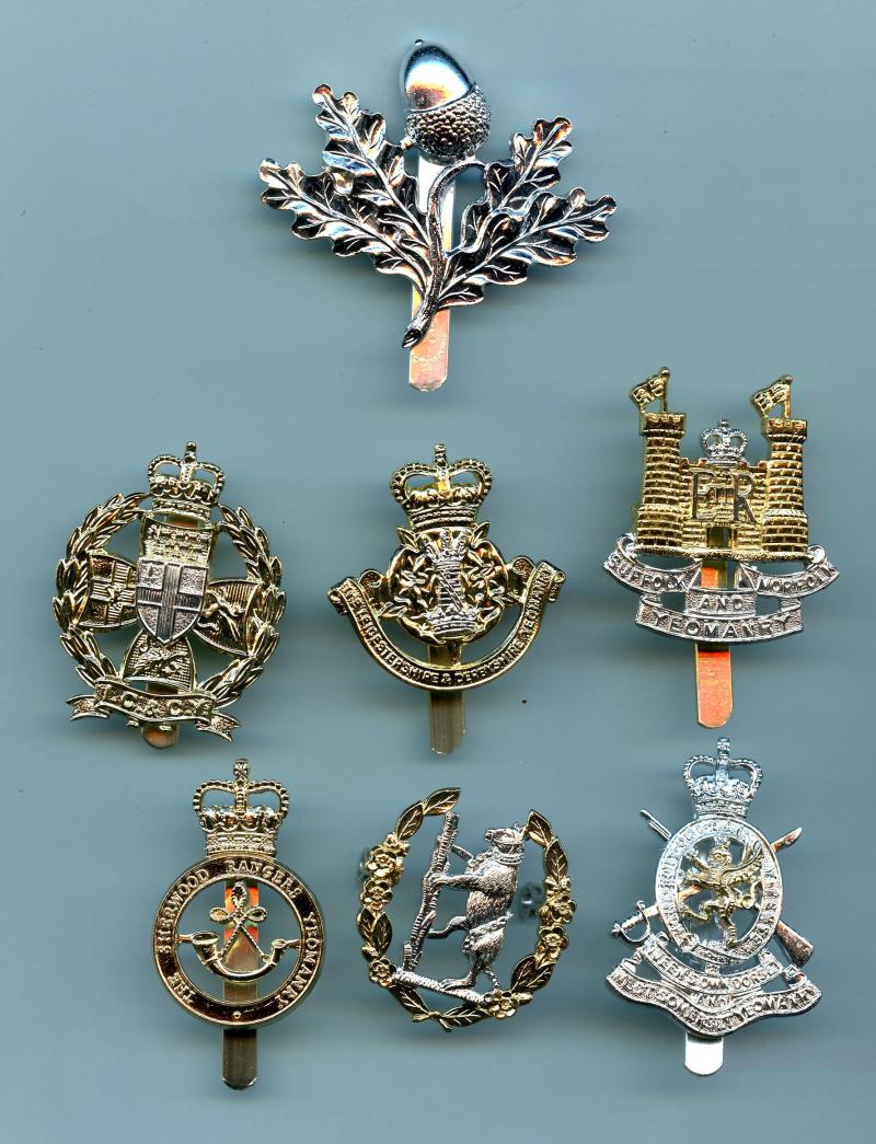 Set of 7 Different  Yeomanry  Anodised Cap Badges