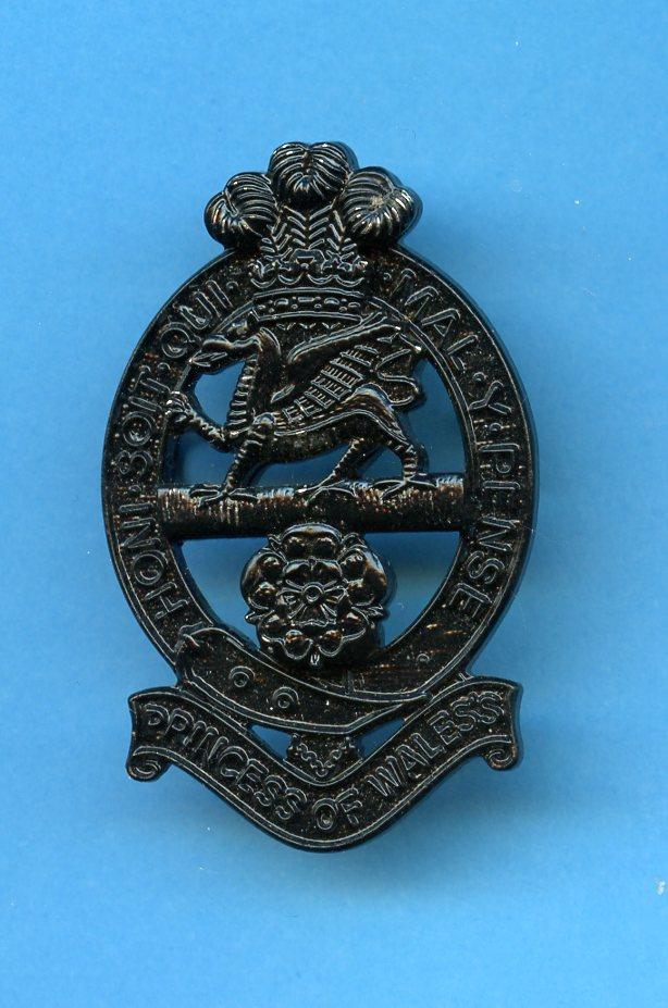 The Queen's Regiment   Princess of Wales Royal Regiment Bronze Metal  Cap Badge
