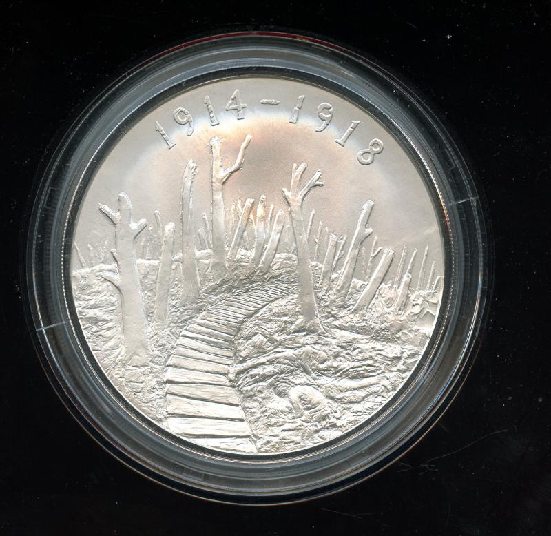 UK 2015 Silver Proof   Five Ounce £10 Coin First World War Reality