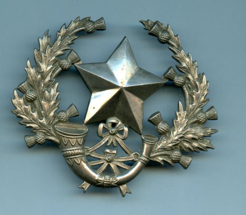 The Cameronians ( Scottish Rifles ) Other Ranks Cap Badge