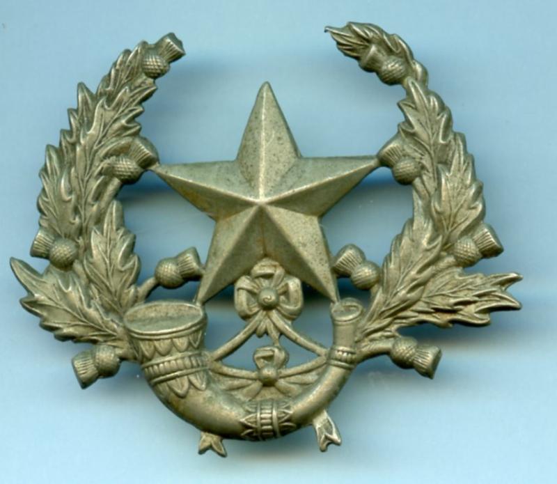 The Cameronians ( Scottish Rifles ) Officers and NCO'S White Metal Cap Badge