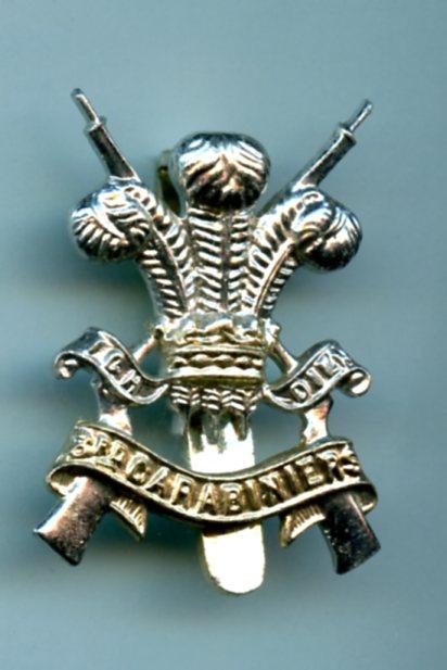 3rd Carabiniers Prince of Wales Dragoon Guards Anodised  Cap Badge