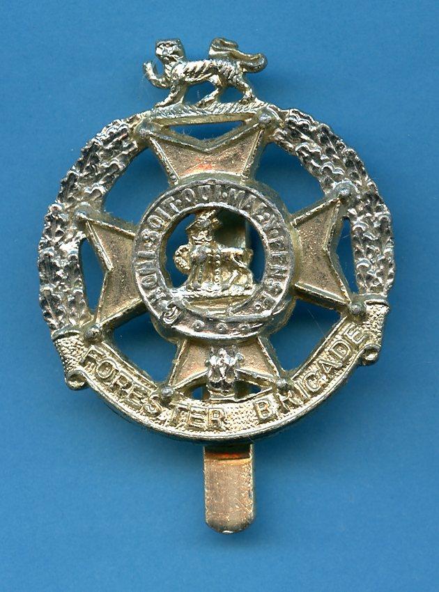 The Foresters Brigade   Anodised Cap Badge