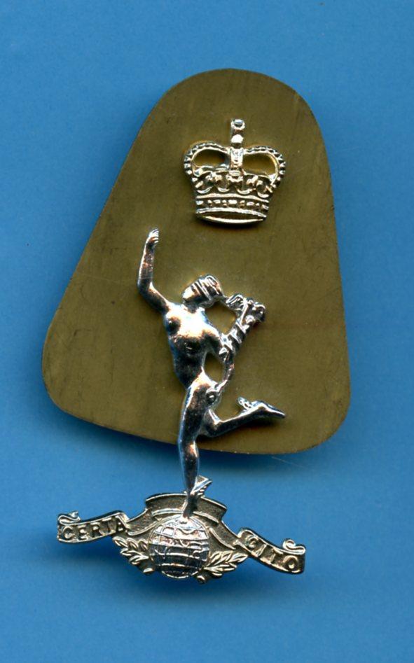 Royal Corps Of Signals Queens  Crown Anodised Cap Badge