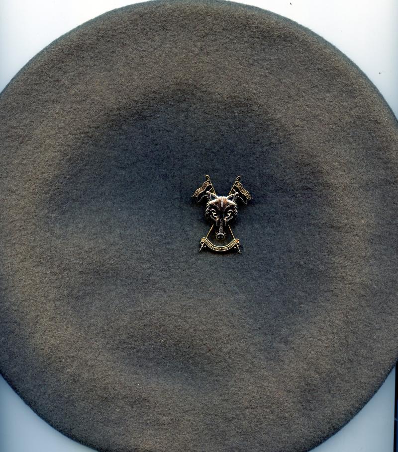 The Scottish and North Irish Yeomanry (SNIY) Beret with Bi- Metal Cap Badge