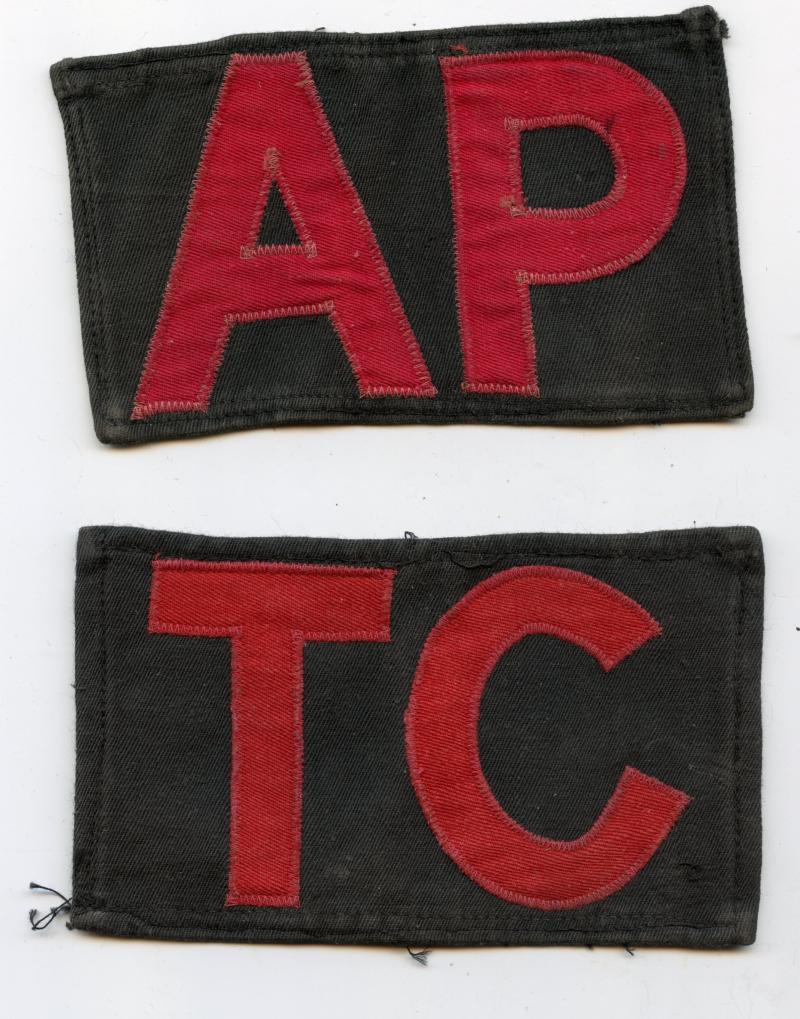 Pair of WW2 era Army Physical Training Corps Arm Badges,