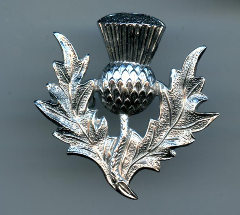 Set of RAF Pipers Plaid Brooch and Badges