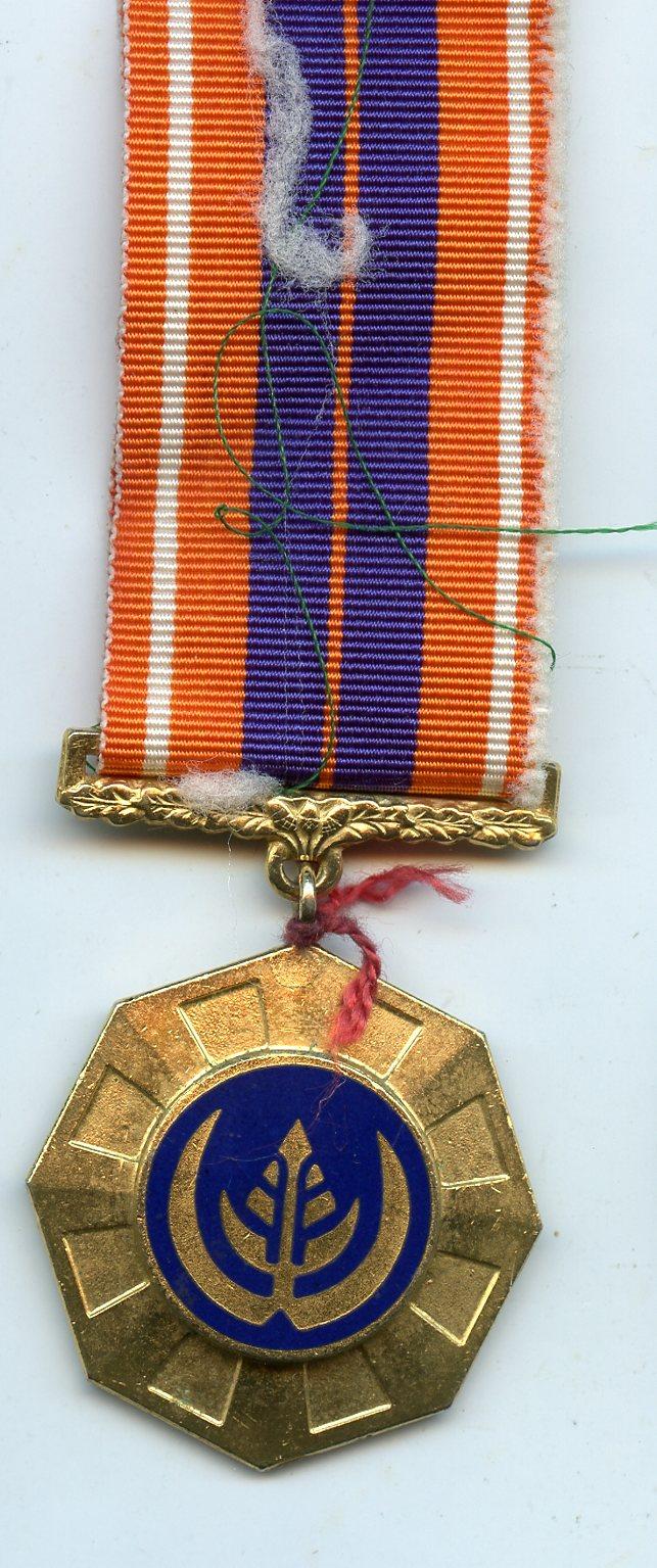 The South African Pro Patria Gilt Medal